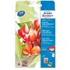 Papier photo jet d'encre - AVERY ZWECKFORM - 100x150mm - 250g/m2 - Blanc