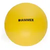 Finnlo Balle Gym 55 Cm