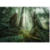 Nature Edition - Dans les Bois 1000 Pièces  Ravensburger