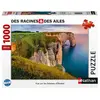 Nathan Des Racines et des Ailes - Vue sur les Falaises d'Etretat