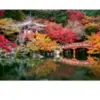 Daigo-ji, Kyoto, Japon 1000 Pièces  Ravensburger