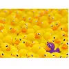 Ravensburger 12000587 Challenge Puzzle 12000587 Canard de Bain 1000 pièces
