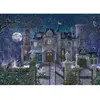 Original Ravensburger Quality puzzle La villa de Noël (1000 pièces)  - Puzzle  - RAVE12000505 