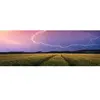 Ravensburger Puzzle 500 pièces - Panorma Nature édition : Orage d'été