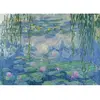 RAVENSBURGER Puzzle Art Collection : nénuphars 1000 pièces