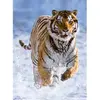 Tigre dans la Neige 500 Pièces  Ravensburger