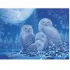Ravensburger Puzzle Glow in the Dark - Chouettes au Clair de Lune