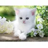 Chaton blanc 1500 Pièces  Ravensburger