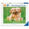 Puzzle 500 pièces : Les frères Golden Retriever