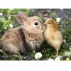 Puzzle 500 pièces : Lapin et poussin