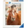 Puzzle 500 pièces : Le petit cavalier