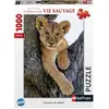 Puzzle 1000 pièces : Lionceau du désert