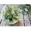 Bouquet estival de prairie avec étoile du sud bleu ciel