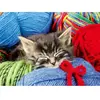 Ravensburger Puzzle 100 pièces : Chaton dans la laine