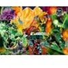 RAVENSBURGER Puzzle Green Lantern 1000 dielikov