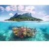 Puzzle pour adultes 500 pièces - Île et monde corallien