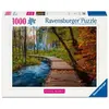Puzzle 1000 pièces : Chemin boisé d'automne