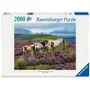 Ravensburger Chevaux Sauvages Dans La Lande
