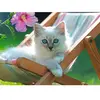Ravensburger - Puzzle Enfant - Puzzle 200 p XXL - Chaton blanc - Dès 8 ans - 13289