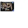 Ravensburger puzzle Fantastic Beasts 300 pièces