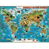 Pièces XXL - Les Animaux du Monde Entier 300 Pièces  Ravensburger