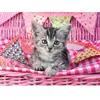 Puzzle 100 pièces Ravensburger - Chaton