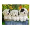 Puzzle Ravensburger - Chiots câlins, 200 pièces XXL