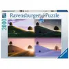 Puzzle 2000 pièces - Ravensburger - Les saisons - Blanc - Adulte