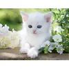 Ravensburger - Puzzle Adulte - Puzzle 1500 p - Chaton blanc - 16243