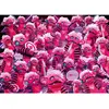 Challenge Monster 1000 Pièces  Ravensburger