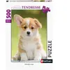 Nathan Puzzle 500 pièces : Adorable corgi
