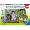 Ravensburger Coffret de Puzzles 3x49 Pièces - Chatons Tigrés pour Enfants - Neuf