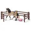 Schleich Horse Club Kit De Soin Pour Chevaux Andalous