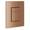 Grohe Skate Cosmopolitan Plaque de commande (38732DL0)