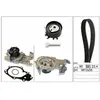 INA 530 0195 30 Pompe à eau + kit de courroie de distribution