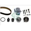 INA 530 0082 30 Pompe à eau + kit de courroie de distribution