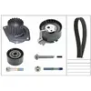 INA 530 0379 30 Pompe à eau + kit de courroie de distribution