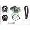 INA 530 0449 30 Pompe à eau + kit de courroie de distribution