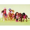Assortiment Poupée Evi + Poney - Simba - Evi Love - 4 Mod - Pour Enfant de 3 ans et plus