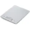 SOEHNLE - 61504 - BALANCE ELECTRONIQUE 10KG/1G - COLORIS SILVER