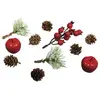 Rayher Décorations naturelles automne et Noël - 11 Cônes, pommes et baies