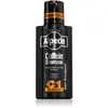 Alpecin Coffein Shampoo C1 Black Edition shampoing à la caféine homme ...