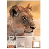 Herlitz - 1x bloc de dessin, format a3, 100 g m2, 25 feuilles 10416634