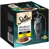 Sheba Perfect Portions 6 x 37,5 g pour chat - Terrine de luxe - poulet