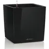 Lechuza Cube Premium 30 Kit Complet, Plastique, Noir Brillant, 30 x 30 x 30 cm