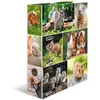 HERMA Classeur à levier 'Monde animal', Rongeurs ()
