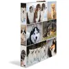 HERMA Classeur à anneaux 'Animals' - chiens, A4, mécanisme à
