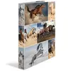 HERMA Classeur à anneaux 'Animals' - chevaux, A4, mécanisme