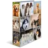 HERMA Classeur à levier à motifs 'Animals', A4, chiens