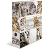 HERMA Classeur à levier à motifs 'Animals', A4, chats